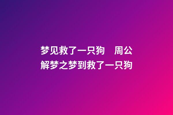 梦见救了一只狗　周公解梦之梦到救了一只狗